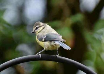 Comment bien s'installer au poste de conduite ?