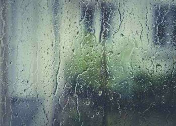 Pourquoi mettre des vitres teintées ?