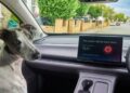 Ce SUV électrique Leapmotor C10 protège vos chiens au frais (même quand vous partez chercher un sandwich)